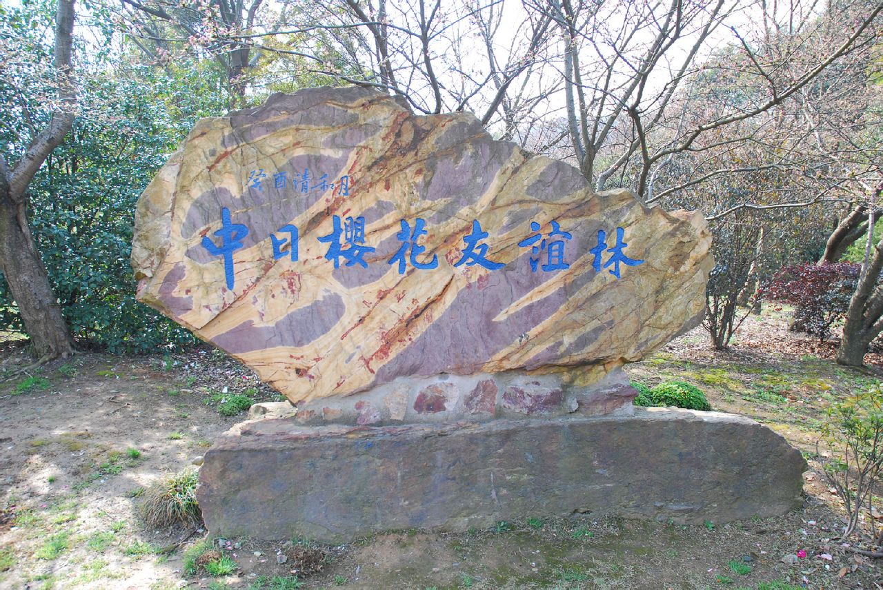 中日櫻花友誼林紀念碑
