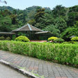 檳城植物園 檳城植物園