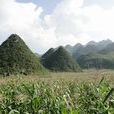 聯發村(貴州省赫章縣雉街鄉下轄村) 聯發村(貴州省赫章縣雉街鄉下轄村)