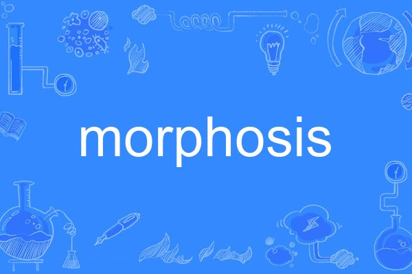 morphosis morphosis