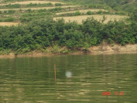 石板水庫 石板水庫