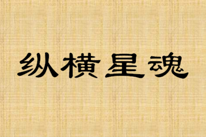 縱橫星魂 縱橫星魂