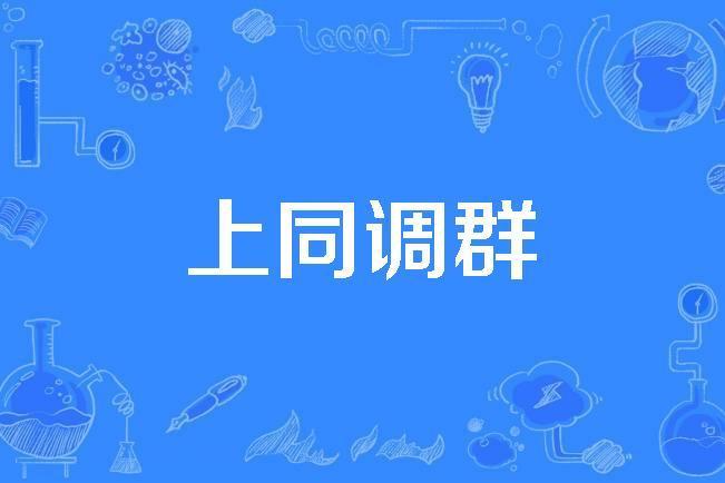 上同調群 上同調群