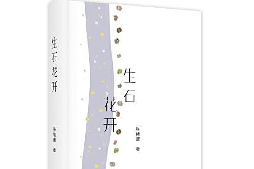 生石花開 生石花開