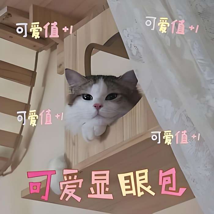 ✨金金 ✨金金