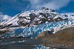 阿拉斯加基奈山哈定冰原的冰川入口