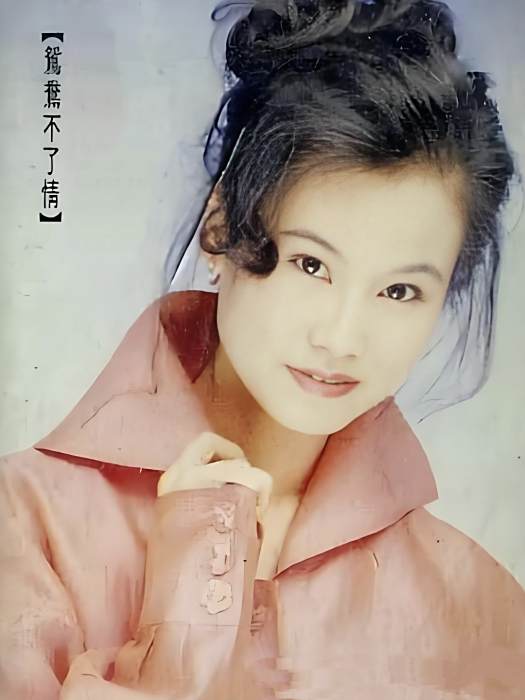半路緣(林立芳的音樂專輯) 半路緣(林立芳的音樂專輯)