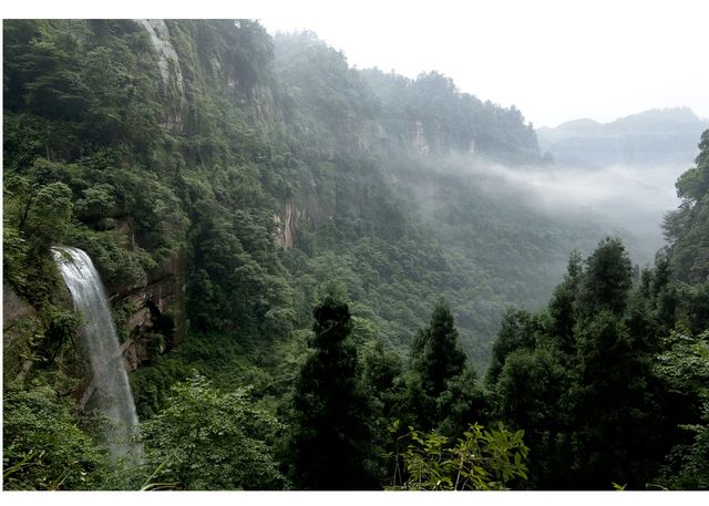 重慶大圓洞國家森林公園雲煙