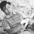 季強(中國地質科學院地質研究所研究員，博士生導師)