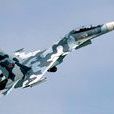 蘇-37戰鬥機(su-37) 蘇-37戰鬥機(su-37)