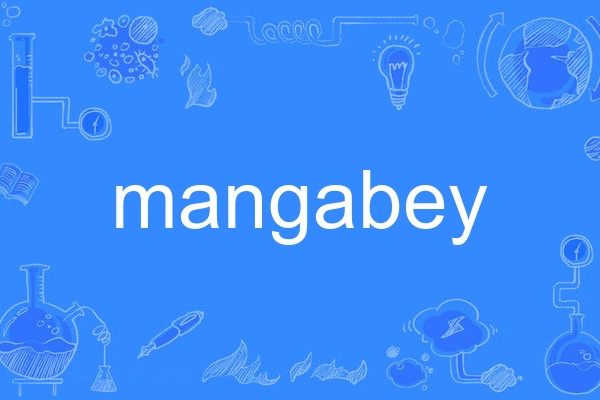 mangabey mangabey