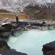 富士山溫泉 富士山溫泉