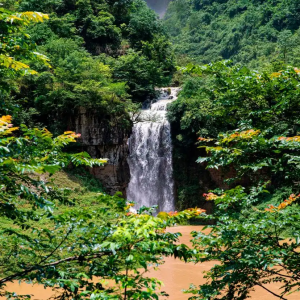 野紀河