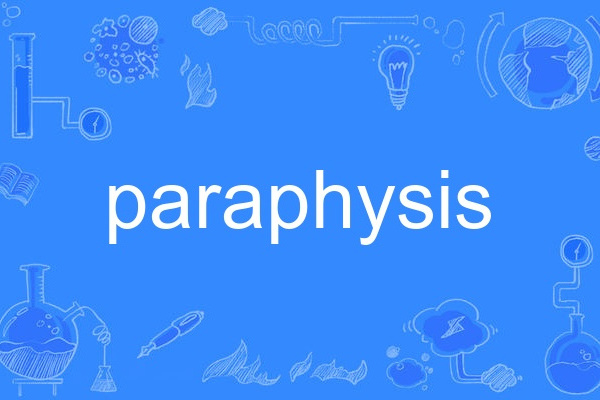 paraphysis paraphysis