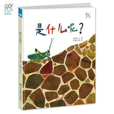 是什麼呢? 是什麼呢?