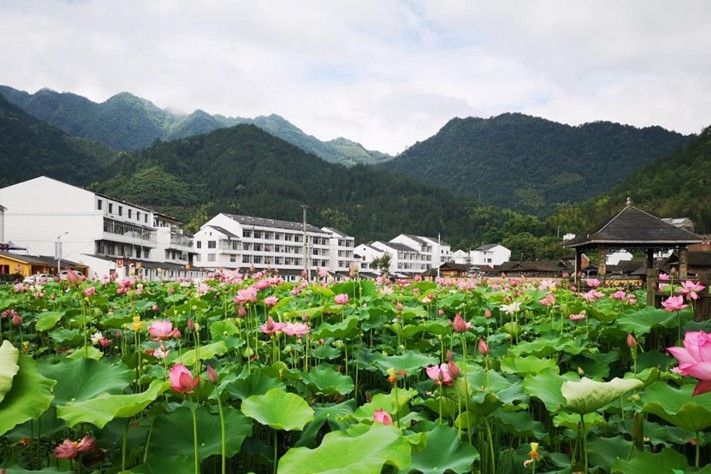 里光村(浙江省溫州市泰順縣司前畲族鎮下轄村) 里光村(浙江省溫州市泰順縣司前畲族鎮下轄村)