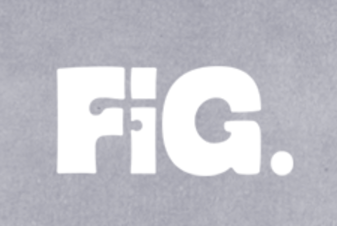 Fig戰隊