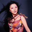 燕銜泥(眉佳 1998年音樂作品) 燕銜泥(眉佳 1998年音樂作品)