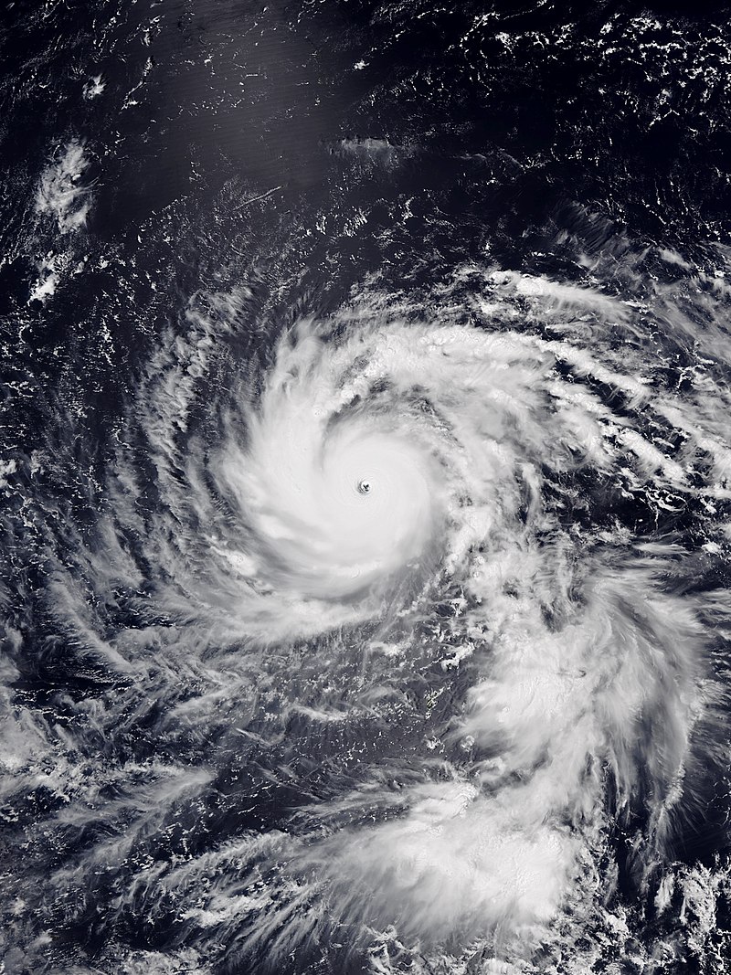 超強颱風飛燕 衛星雲圖