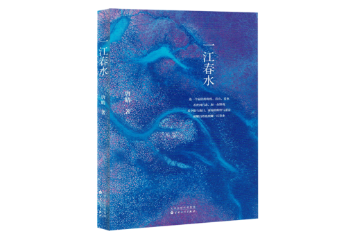 一江春水(2024年百花文藝出版社出版的圖書) 一江春水(2024年百花文藝出版社出版的圖書)