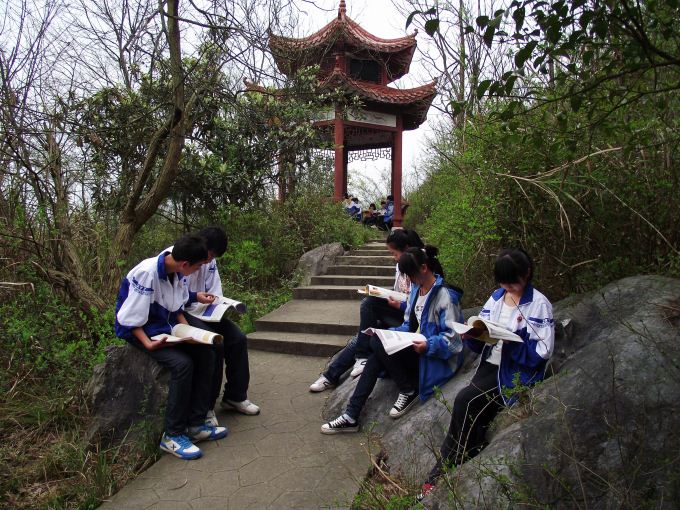 學生在後山公園晨讀