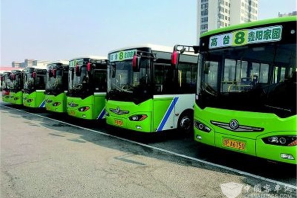 綏中公交8路 綏中公交8路