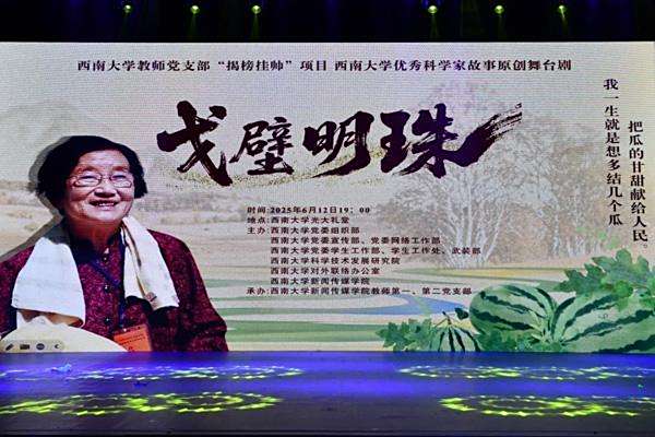 戈壁明珠 戈壁明珠