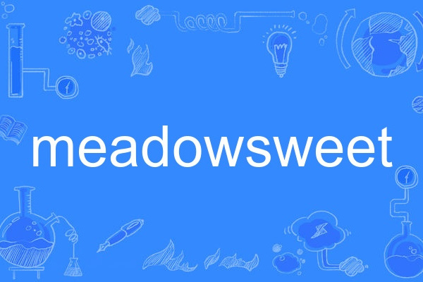 meadowsweet meadowsweet