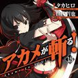 黑瞳(日本動漫《斬·赤紅之瞳！》的人物)