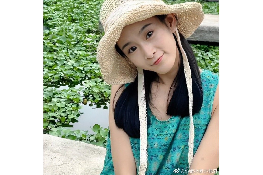 陳佳瑋(中國內地女演員) 陳佳瑋(中國內地女演員)