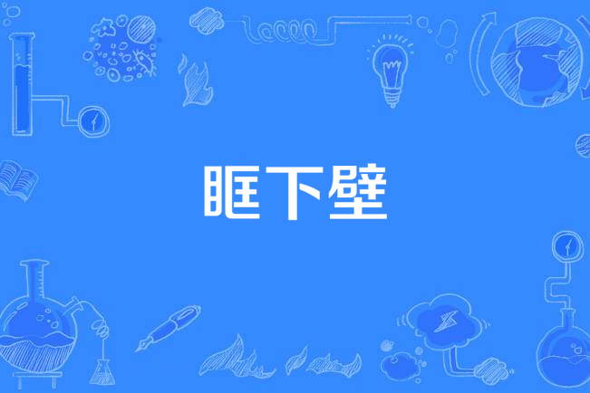 眶下壁