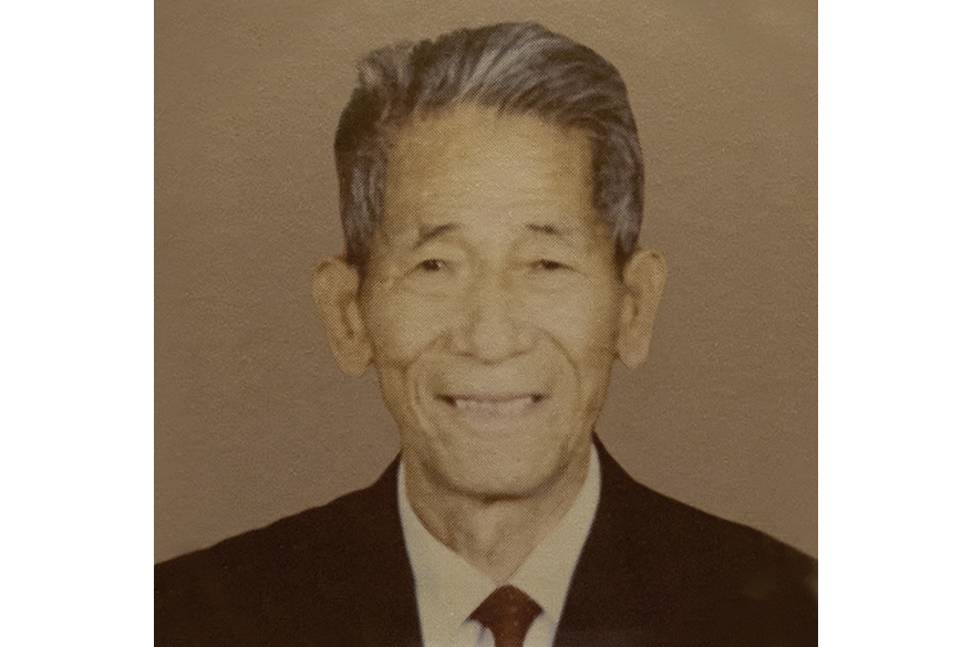 何木根 何木根