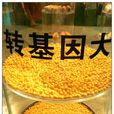 轉基因食品