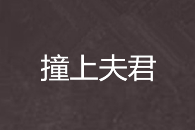 撞上夫君 撞上夫君