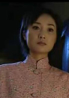 中國母親(2006年井泉執導電視劇)