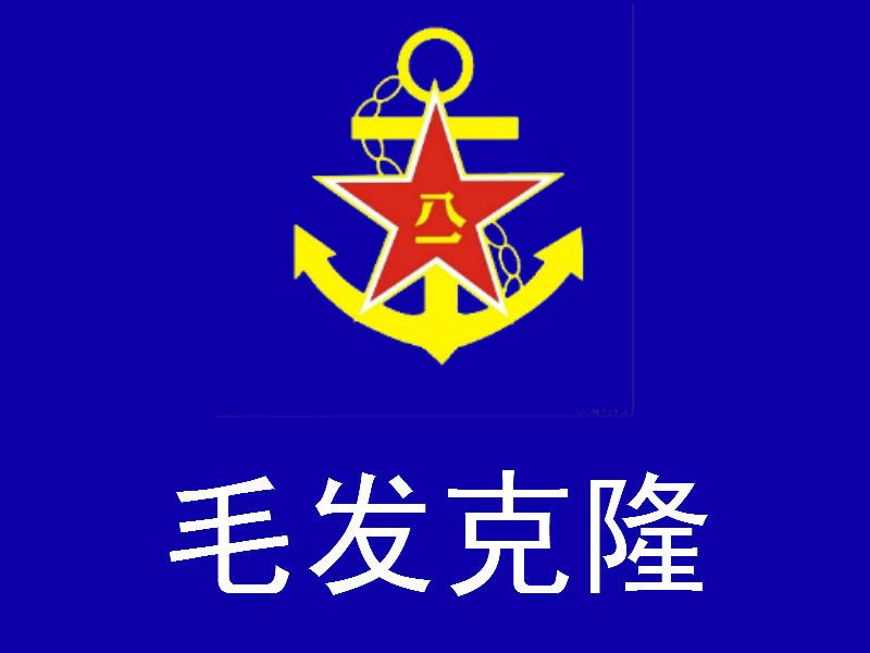 毛髮克隆 毛髮克隆
