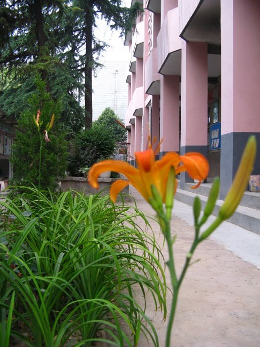 馮家嘴村 馮家嘴村