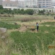 後蔡村(福建省泉州市晉江市安海鎮下轄村) 後蔡村(福建省泉州市晉江市安海鎮下轄村)