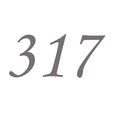 317(自然數之一)