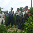 小馬村(北京市房山區青龍湖鎮小馬村) 小馬村(北京市房山區青龍湖鎮小馬村)