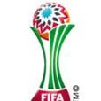 2014年國際足聯世界俱樂部杯
