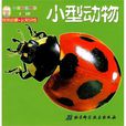 小型動物 小型動物