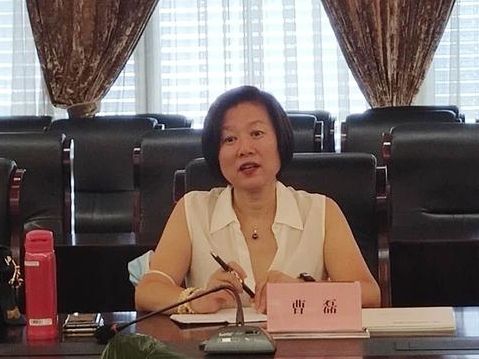 曹磊(有研新材獨立董事) 曹磊(有研新材獨立董事)