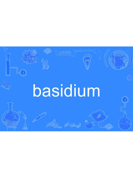 basidium basidium