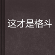 這才是格鬥 這才是格鬥