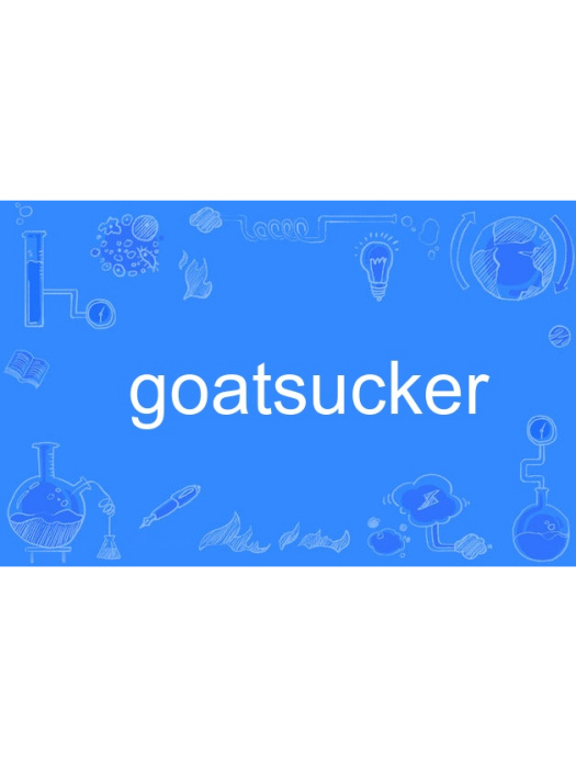 goatsucker goatsucker