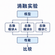 消融實驗 消融實驗