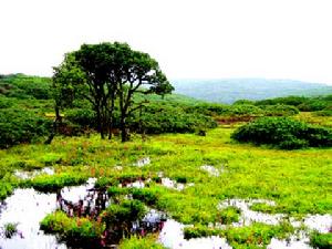 四川若爾蓋濕地自然保護區