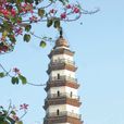 文明塔(福建龍巖的文明塔) 文明塔(福建龍巖的文明塔)