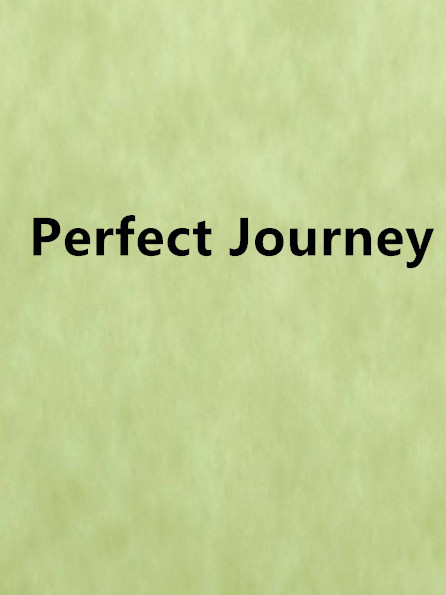 Perfect Journey Perfect Journey